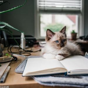 product photo of Iusto Saepe Perspiciatis